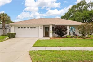 11241 ROLLINGWOOD DRIVE, PORT RICHEY, FL 34668 - MLS#MFRTB8494231