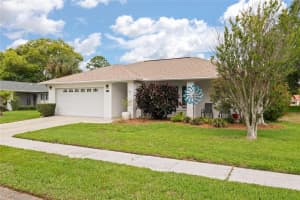 11241 ROLLINGWOOD DRIVE, PORT RICHEY, FL 34668 - MLS#MFRTB8494231