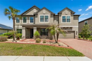10316 CLOVER PINE DRIVE, TAMPA, FL 33647 - MLS#MFRTB8494244