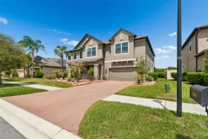 10316 CLOVER PINE DRIVE, TAMPA, FL 33647 - MLS#MFRTB8494244