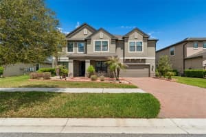 10316 CLOVER PINE DRIVE, TAMPA, FL 33647 - MLS#MFRTB8494244