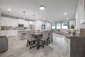 6066 GRAND SONATA AVENUE, LUTZ, FL 33558 - MLS#MFRTB8494247