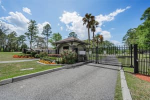 15747 SAGO DRIVE, BROOKSVILLE, FL 34604 - MLS#MFRTB8494254