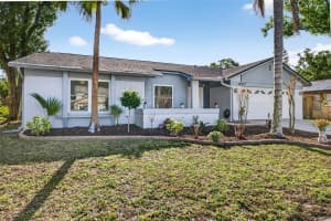 12913 RAIN FOREST STREET, TEMPLE TERRACE, FL 33617 - MLS#MFRTB8494260