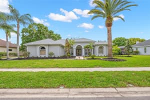 3692 JOHNATHON AVENUE, PALM HARBOR, FL 34685 - MLS#MFRTB8494271