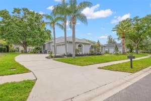 3692 JOHNATHON AVENUE, PALM HARBOR, FL 34685 - MLS#MFRTB8494271