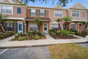 6229 Bayside Key Dr, TAMPA