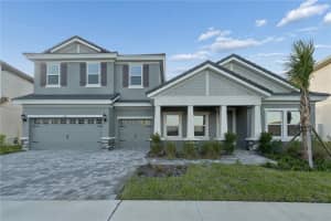 1953 ARCHING BRANCH, ZEPHYRHILLS, FL 33541 - MLS#MFRTB8494350