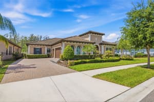 3636 Madison Cypress Dr, LUTZ