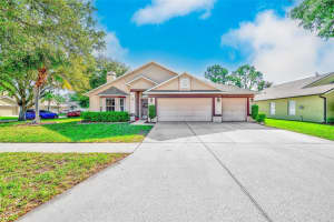 2927 HICKORY GROVE DRIVE, VALRICO, FL 33596 - MLS#MFRTB8494363