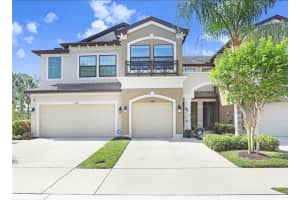 11404 CROWNED SPARROW LANE, TAMPA, FL 33626 - MLS#MFRTB8494367