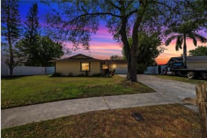 10320 OUT ISLAND DRIVE, TAMPA, FL 33615 - MLS#MFRTB8494404