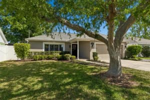 5103 CLEVELAND STREET, TAMPA, FL 33609 - MLS#MFRTB8494408