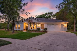 17805 GREEN WILLOW DRIVE, TAMPA, FL 33647 - MLS#MFRTB8494429