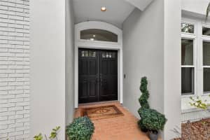 17805 GREEN WILLOW DRIVE, TAMPA, FL 33647 - MLS#MFRTB8494429