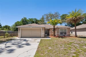 6633 HONE STREET, NEW PORT RICHEY, FL 34653 - MLS#MFRTB8494441