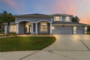 19120 MANDARIN GROVE PLACE, TAMPA, FL 33647 - MLS#MFRTB8494447