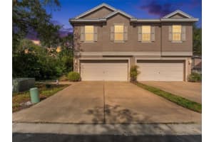 6220 Duck Key Ct, TAMPA 6220 Duck Key Ct, TAMPA