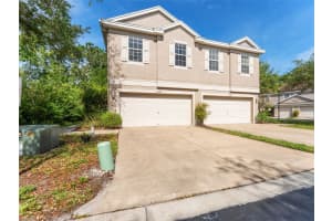 6220 DUCK KEY COURT, TAMPA, FL 33625 - MLS#MFRTB8494451
