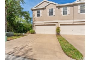 6220 DUCK KEY COURT, TAMPA, FL 33625 - MLS#MFRTB8494451