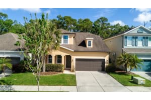 11604 QUIET FOREST DRIVE, TAMPA, FL 33635 - MLS#MFRTB8494495
