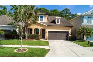 11604 QUIET FOREST DRIVE, TAMPA, FL 33635 - MLS#MFRTB8494495