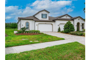 4521 Barletta Ct, WESLEY CHAPEL