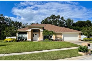 3041 COLONIAL RIDGE DRIVE, BRANDON, FL 33511 - MLS#MFRTB8494511