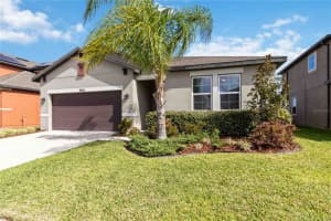 11806 BLUEGRASS FIELD COURT, RIVERVIEW, FL 33579 - MLS#MFRTB8494513