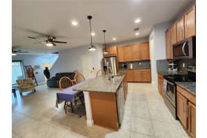 5514 VIOLA LEE WAY, LUTZ, FL 33558 - MLS#MFRTB8494521