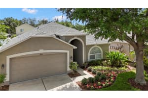 3204 PRAIRIE IRIS DRIVE, LAND O LAKES, FL 34638 - MLS#MFRTB8494528