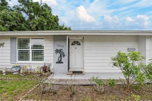 10101 Mariposa Pl, TAMPA
