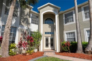 15618 SHOAL CREEK PLACE, ODESSA, FL 33556 - MLS#MFRTB8494594