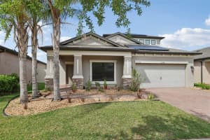 10740 PLEASANT KNOLL DRIVE, TAMPA, FL 33647 - MLS#MFRTB8494605