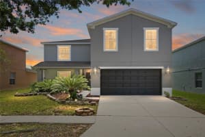 30902 TEMPLE STAND AVENUE, WESLEY CHAPEL, FL 33543 - MLS#MFRTB8494633