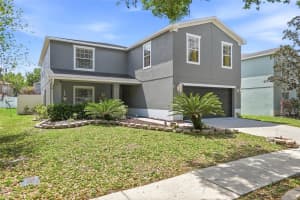 30902 TEMPLE STAND AVENUE, WESLEY CHAPEL, FL 33543 - MLS#MFRTB8494633