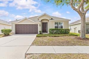 601 NODDING SHADE DRIVE, BROOKSVILLE, FL 34604 - MLS#MFRTB8494679