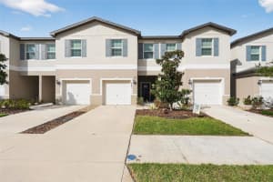 32021 POWDERPUFF MIMOSA DRIVE, SAN ANTONIO, FL 33576 - MLS#MFRTB8494689