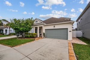 8115 CHAMPIONS FOREST WAY, TAMPA, FL 33635 - MLS#MFRTB8494727