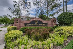 8115 CHAMPIONS FOREST WAY, TAMPA, FL 33635 - MLS#MFRTB8494727