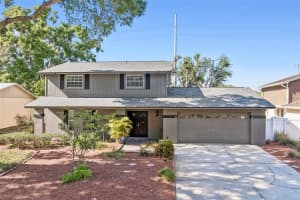 7001 Summerbridge Dr, TAMPA 7001 Summerbridge Dr, TAMPA