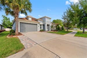 11403 SCRIBNER STATION LANE, LITHIA, FL 33547 - MLS#MFRTB8494734