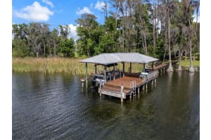 21133 MARSH HAWK DRIVE, LAND O LAKES, FL 34638 - MLS#MFRTB8494736