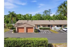 3135 CHARTER CLUB DRIVE, TARPON SPRINGS, FL 34688 - MLS#MFRTB8494737