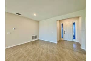 10959 COTTON VALE PLACE, SAN ANTONIO, FL 33576 - MLS#MFRTB8494739