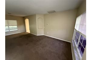 931 VAN LOON COURT, KISSIMMEE, FL 34758 - MLS#MFRTB8494744