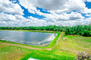 17132 WHITE MANGROVE DRIVE, WIMAUMA, FL 33598 - MLS#MFRTB8494754