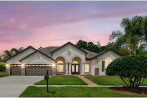 2731 BLUE SPRINGS PLACE, WESLEY CHAPEL, FL 33544 - MLS#MFRTB8494779
