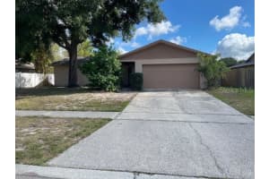 2230 Birchbark Trl, CLEARWATER