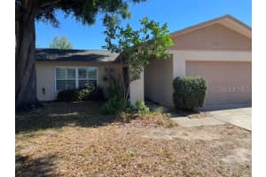 2230 BIRCHBARK TRAIL, CLEARWATER, FL 33763 - MLS#MFRTB8494793